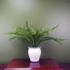 Artificial Fern Bush in Decorative Planter Botanik