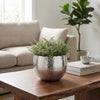 Leaf Large Metal Planter 22 x 17cm Hammered Silver Colour - Curvy Edge