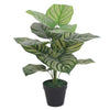 60cm Artificial Green Stripe Botanik Plant - Premium Quality