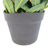 Artificial Ficus Tree Plant Photinia Red Robin Green 80cm Plants