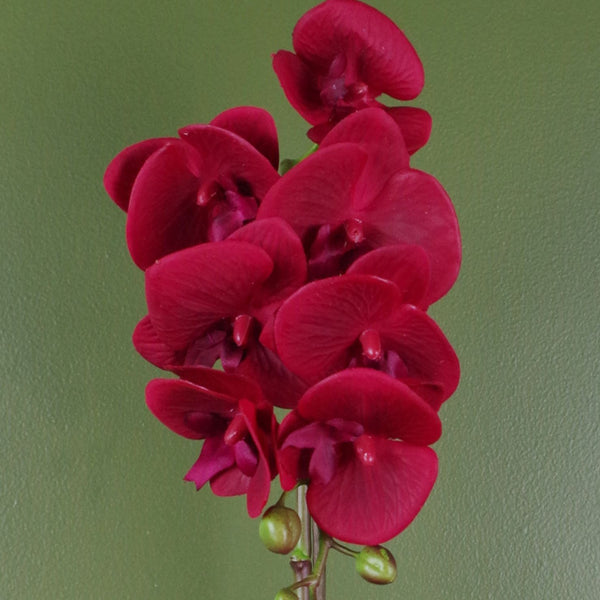 Artificial Orchid Red with Silver Pot 46cm Botanik