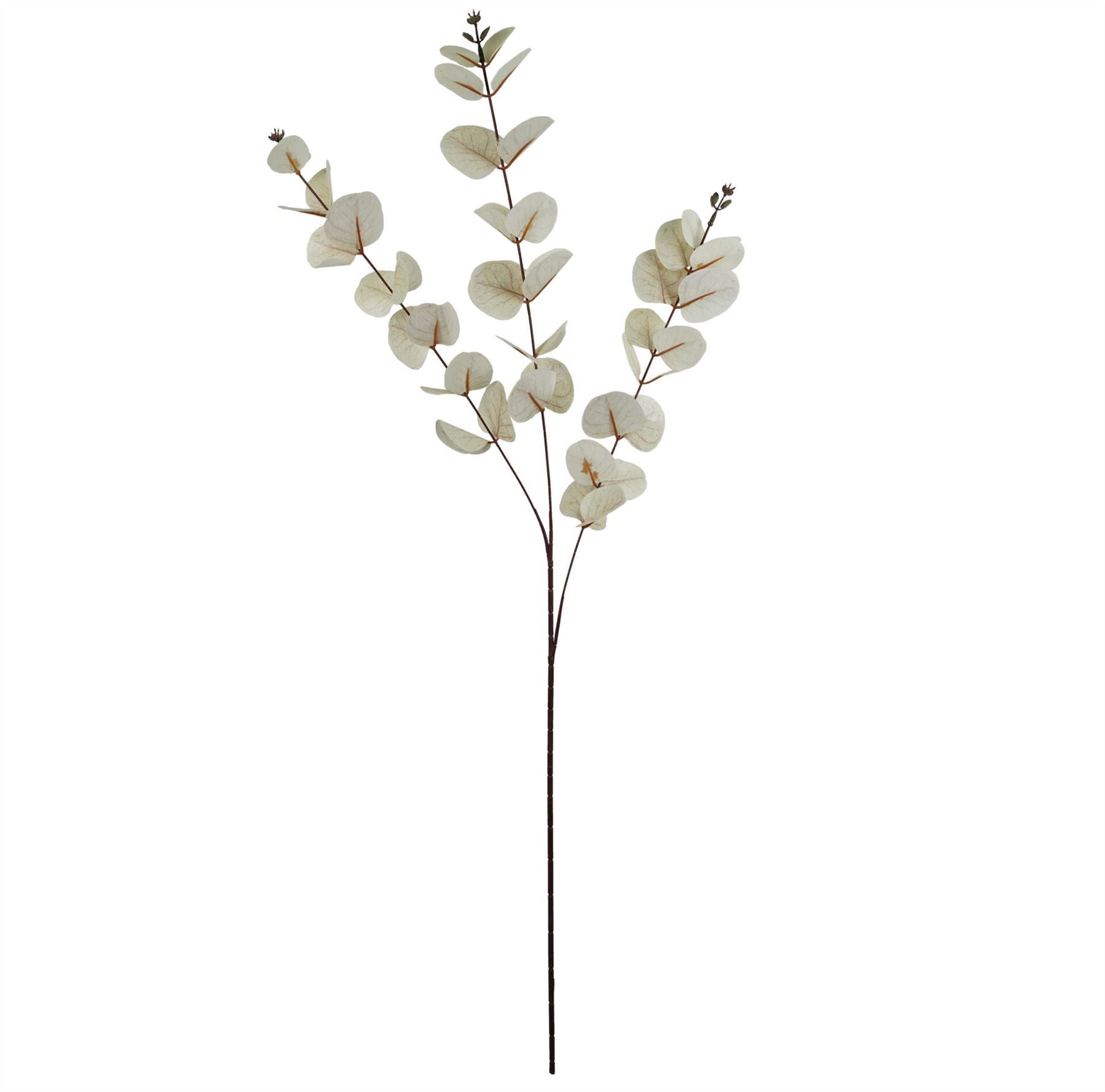 Pack of 6 x 80cm White Eucalyptus Foliage Stem - Premium Quality