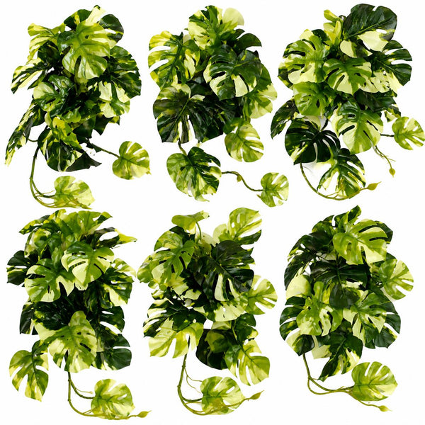 Pack of 6 x 25cm Artificial Trailing Variegated Monstera Vine Plant