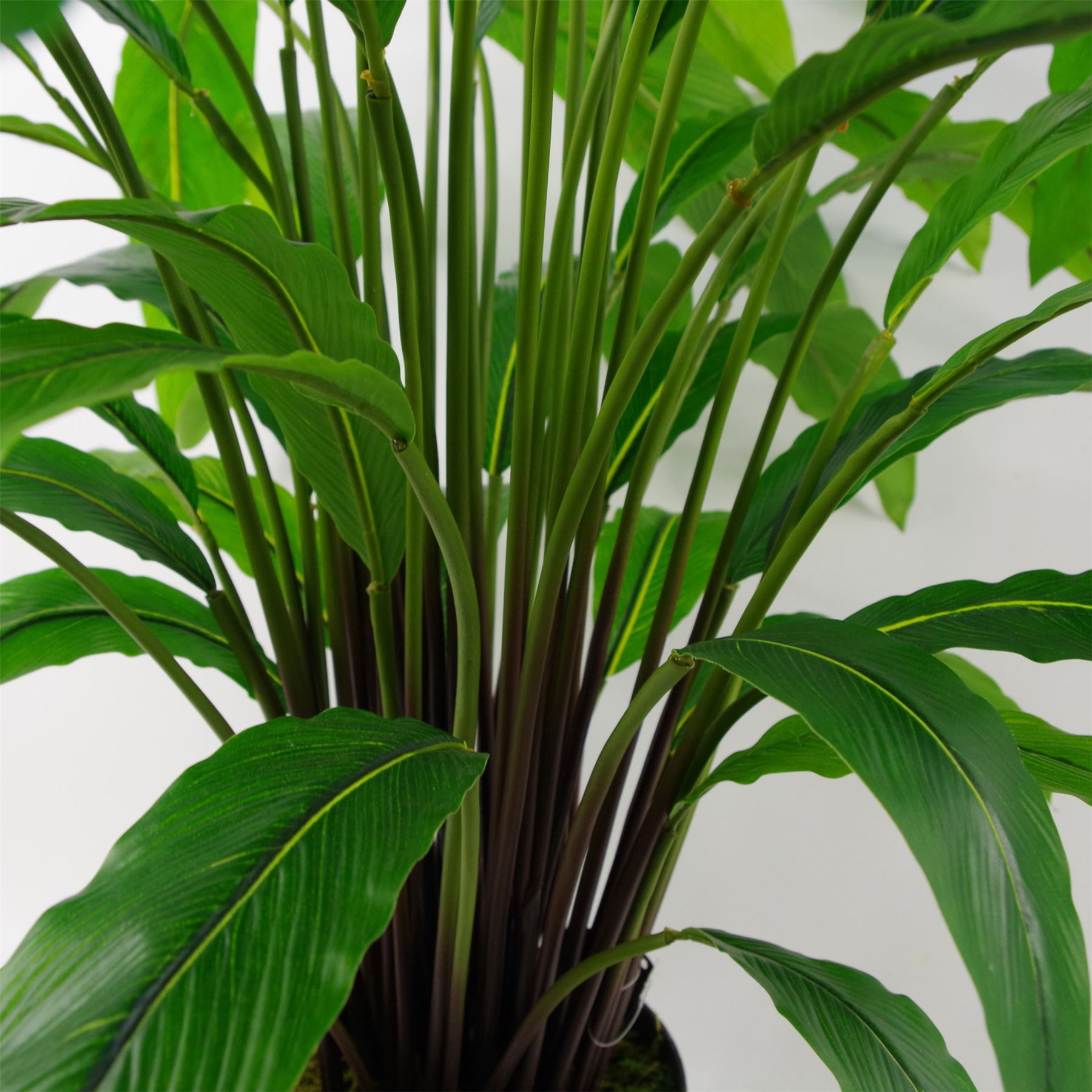 Artificial Plant Bush Calathea Big Plants 60cm 2ft