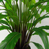 Artificial Plant Bush Calathea Big Plants 60cm 2ft