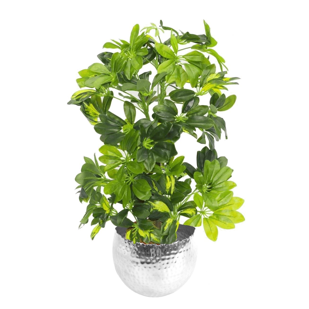 Artificial Arboricola Plant 75cm Silver Planter