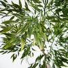 120cm UV Resistant Artificial Japanese Ficus Botanik Tree - Premium Quality
