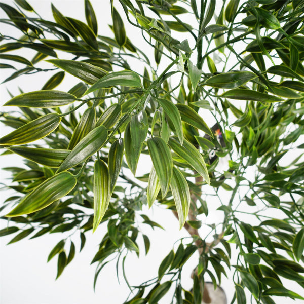 120cm UV Resistant Artificial Japanese Ficus Botanik Tree - Premium Quality