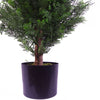 120cm Pair of Artificial Cypress Topiary - Premium Quality
