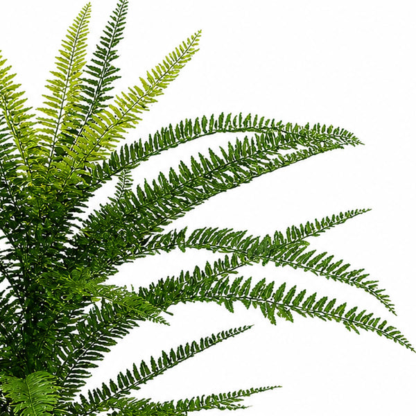 75cm Fire Retardant Plastic Boston Fern Plant with 49 Leaves - Premium Quality