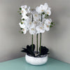 Orchid Artificial White Marble Effect  Ceramic Planter Botanik