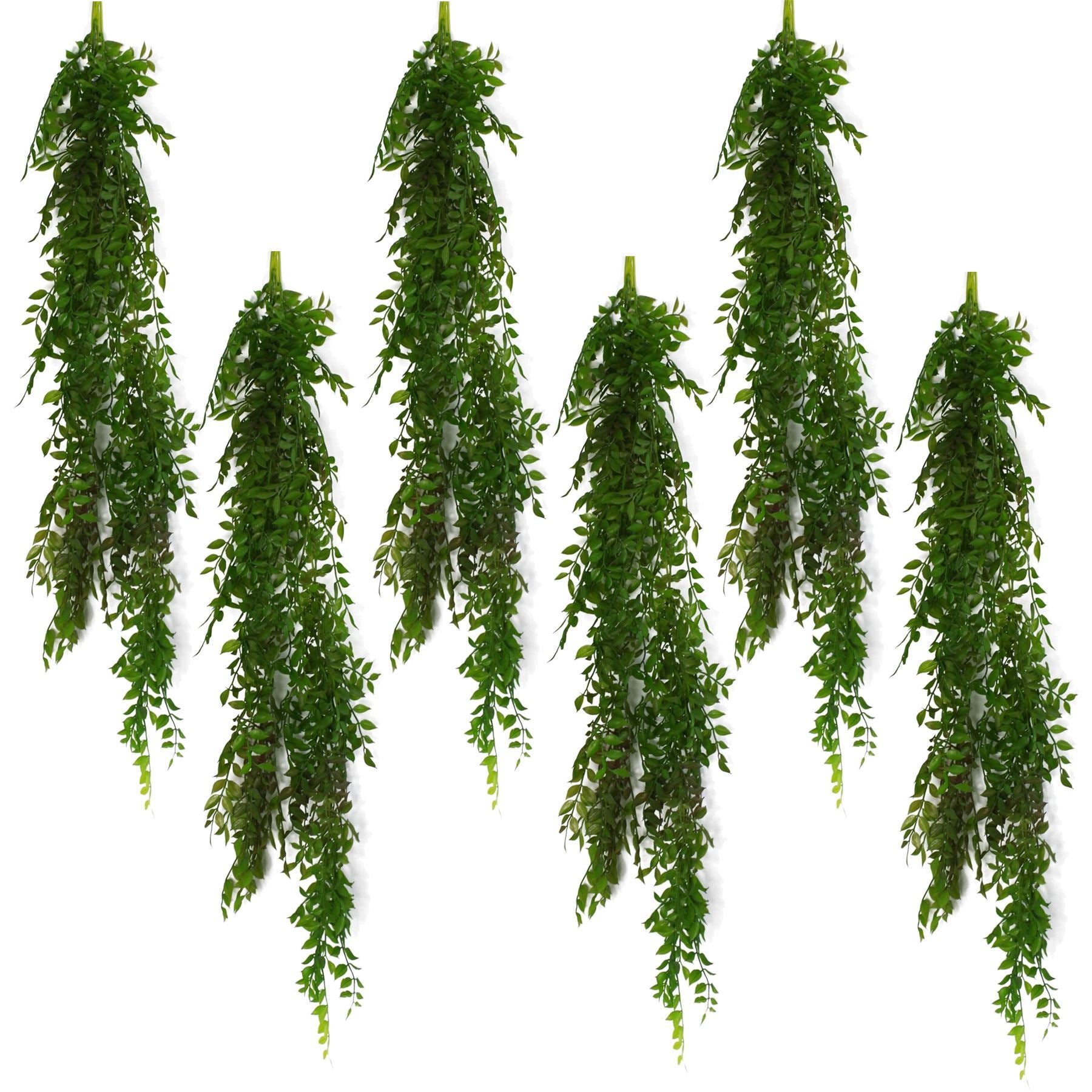 6 x 100cm Hanging String of Pearls Fern Plant Dark Green - Premium Quality