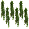 6 x 100cm Hanging String of Pearls Fern Plant Dark Green - Premium Quality