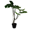 Artificial Monstera Plant Twisted Cheese Plant 70cm Leaf Design UK Realistic Botanik