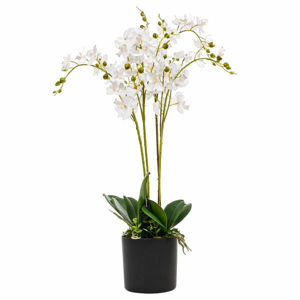 Artificial Orchid Flower in Pot 60cm White