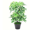 Artificial Arboricola Plant 55cm Small Plant 55cm