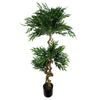 Japanese ARTIFICIAL TREE XL Fruticosa Ficus Tree Plastic Pot 160cm