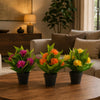 Leaf Design 3x 18cm Artificial Freesia Plants Pink, Orange, Yellow Flowering