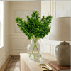 Pack of 6 x 75cm Artificial Boxwood & Budding Foliage Bush Stem