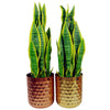 Honeycomb Metal Planter - Copper - 18cm x 15.5cm - Premium Quality