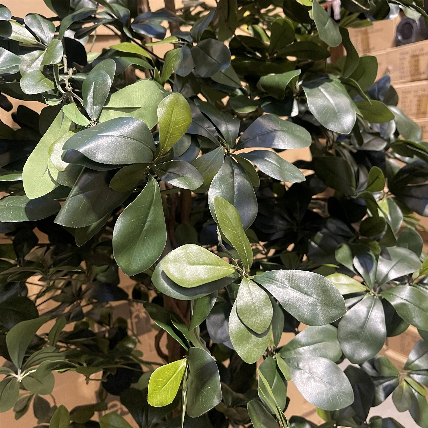180cm Fire Retardant Black Olive Tree with 2925 Leaves and Natural Trunk