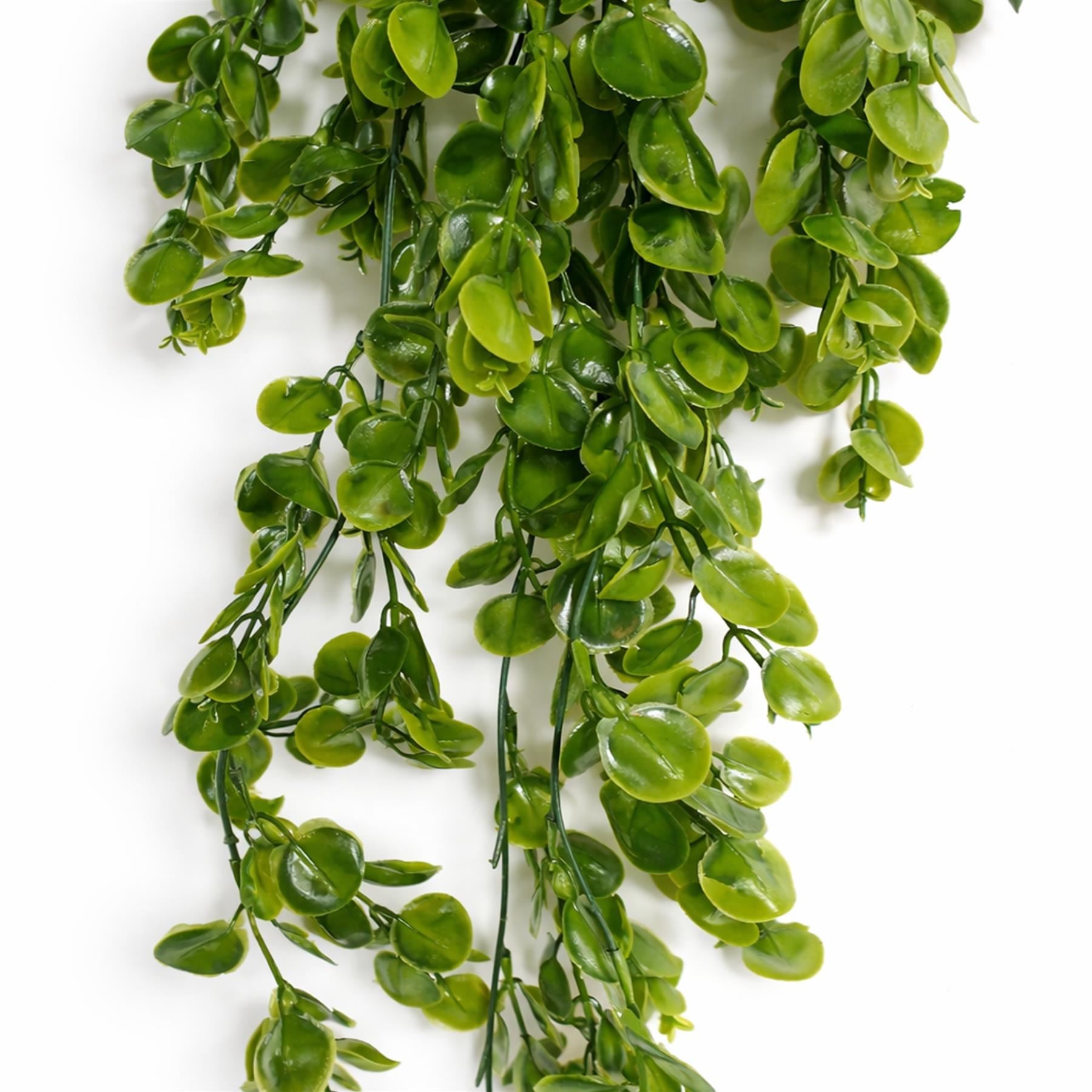 75cm Artificial Trailing Round Botanik Hanging Foliage Plant - Classic Gloss Green - Premium Quality