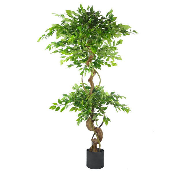 Japanese Fruticosa Ficus Tree Black Planter 150cm Twisted Trunk Artificial Botanik