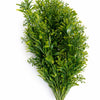 Pack of 6 x 75cm Artificial Rosemary Style Foliage Bush Stem