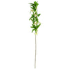 75cm White Starflower Display Ombre Glass Vase - Premium Quality