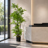 Artificial Fern Plant Tree 150cm Fern Display