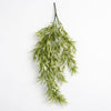 Pack of 6 x 80cm Italian Ruscus Hanging Plant with Realistic Foliage - Light Green - Premium Quality