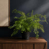 Artificial Fern Plant Pot Maidenhair Fern 35cm Leaf Design UK Realistic Plant Botanik
