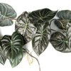 Artificial Hanging Plant Alocasia Dragon Scale Dark Pack x 6