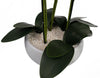 60cm Orchid Artificial Black - White Ceramic Planter - Premium Quality