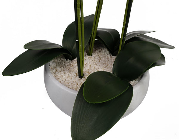 60cm Orchid Artificial Black - White Ceramic Planter - Premium Quality