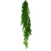 Hanging String of Pearls Fern Plant Light Green 100cm