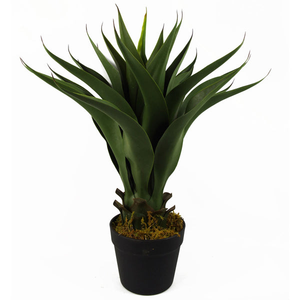 55cm Artificial Tropical Yucca Plant