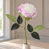 Pack of 6 x 55cm Artificial Pink and Cream Rose Stems