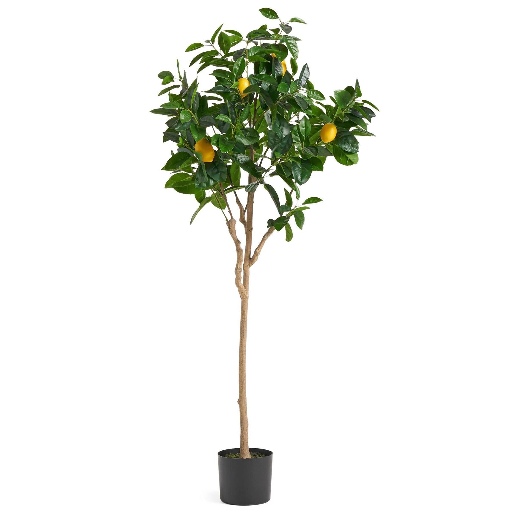 Large Lemon Tree  Artificial  150cm Premium Plant