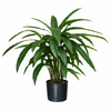 Artificial Foliage Plant Pot Green 60cm Artificial Calathea