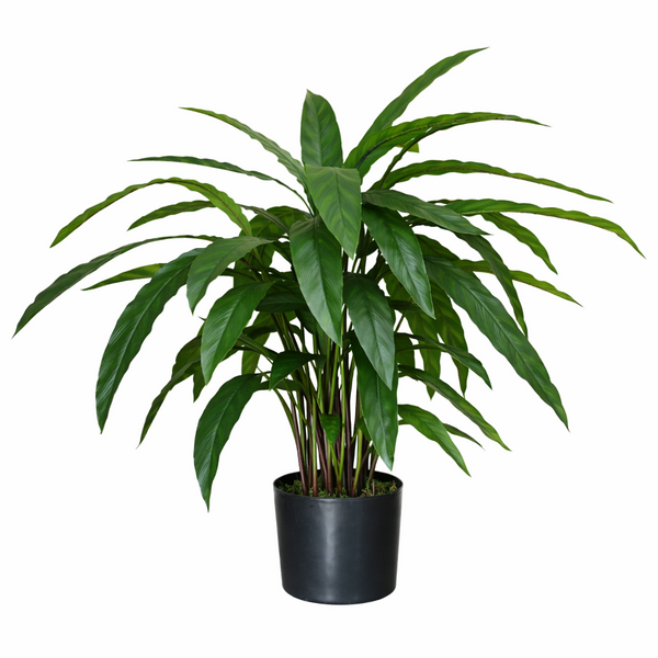 Artificial Foliage Plant Pot Green 60cm Artificial Calathea