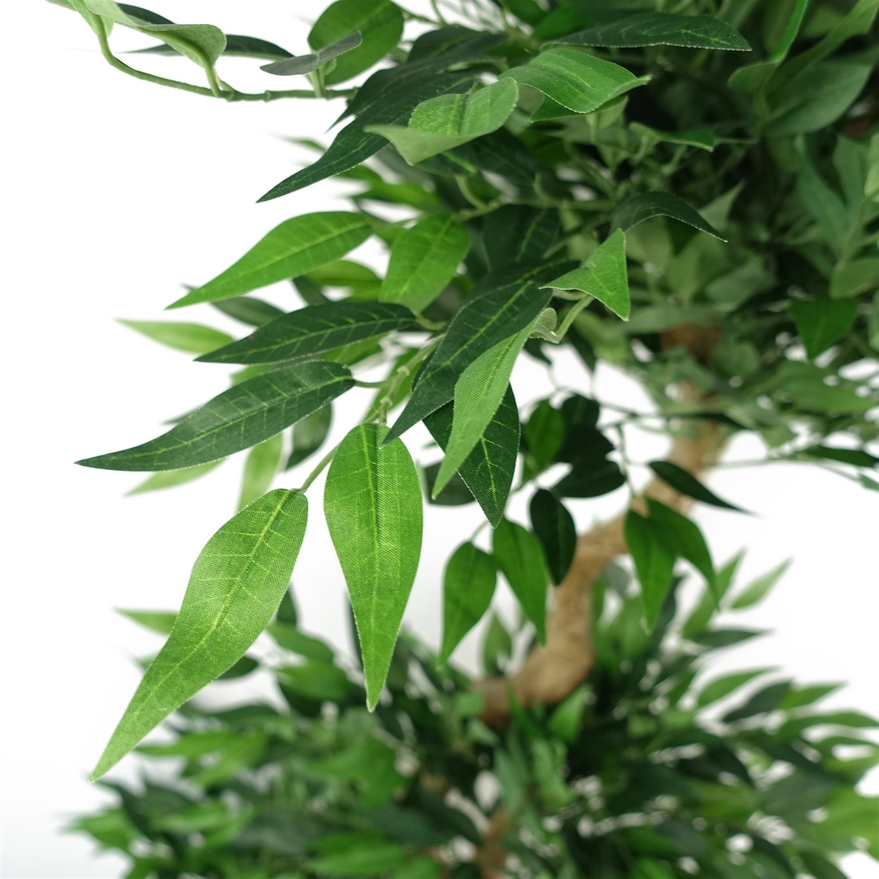 Japanese ARTIFICIAL TREE XL Fruticosa Ficus Tree Plastic Pot 160cm