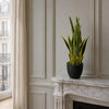 70cm Artificial Sansevieria with pot - Premium Quality