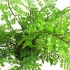 Artificial Fern Plant 30cm Forest Fern 30cm In Plant Pot