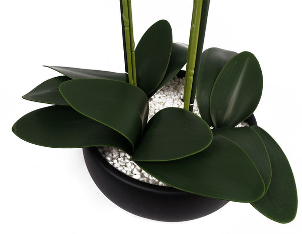 Orchid Artificial Yellow Black Ceramic Planter Botanik