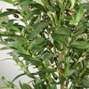 Artificial Olive Tree Bush Large 5.5ft tall Botanik