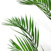 Artificial 118cm Palm Tree- Unpotted 11 Leaves
