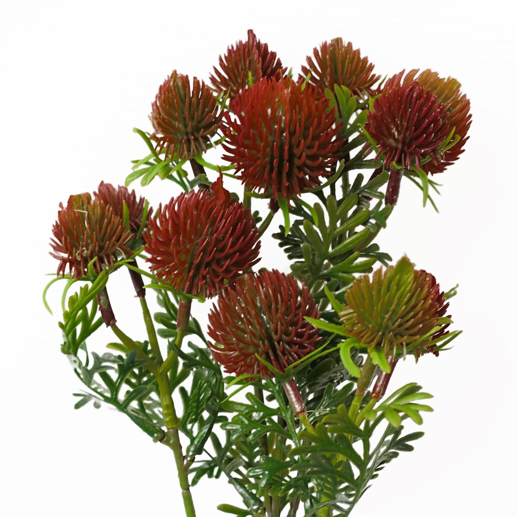 Pack of 6 x 55cm Craspedia Stem Red Artificial - Premium Quality