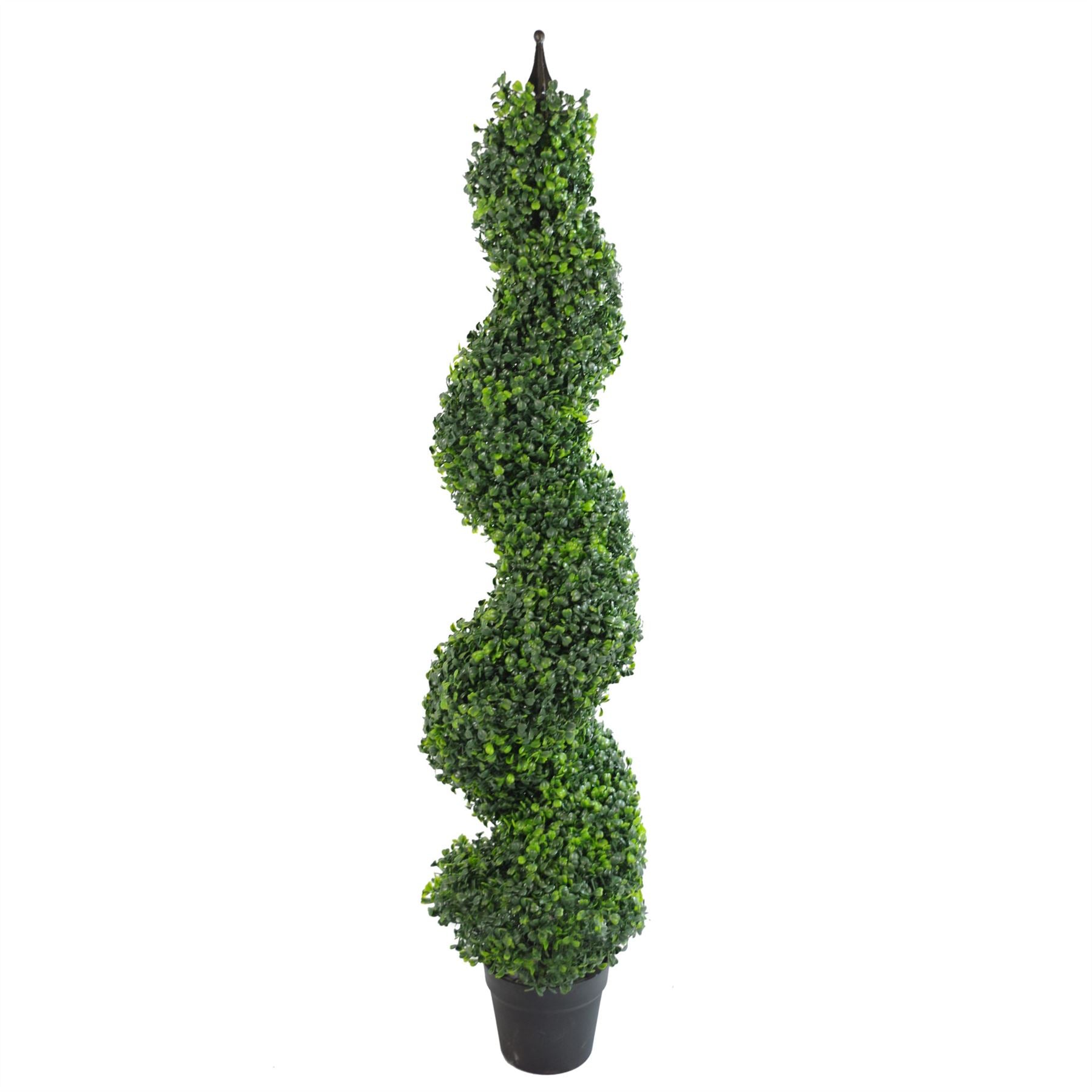 Buxus Boxwood Spiral Trees 120cm