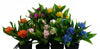 3x 18cm Artificial Freesia Plants Pink, White, Blue Flowering - Premium Quality